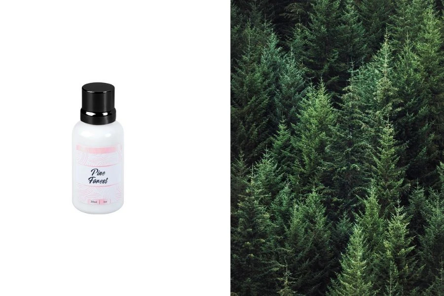 Pine Forest Αρωματικό έλαιο 30 ml Pine Forest Αρωματικό έλαιο 30 ml