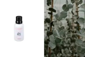 Asian Forest Fragrance Oil 30 ml-1
