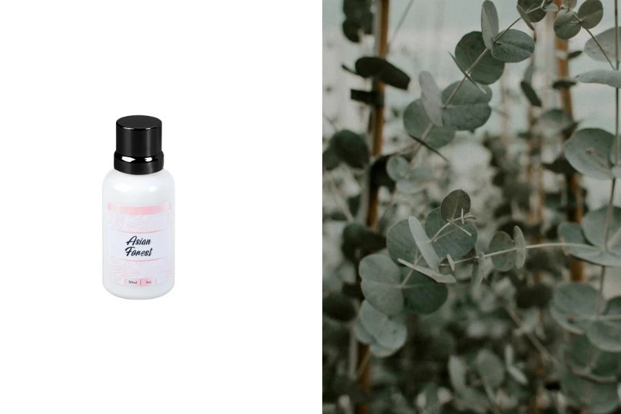 Asian Forest Fragrance Oil 30 ml