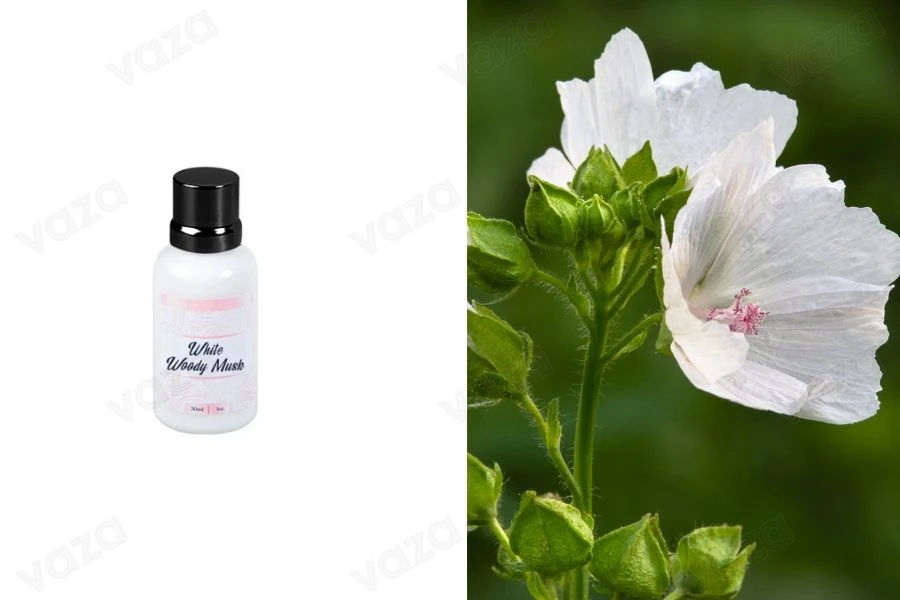 Olio profumato al muschio bianco e legnoso 30 ml Olio profumato al muschio bianco e legnoso 30 ml-immagine_prodotto