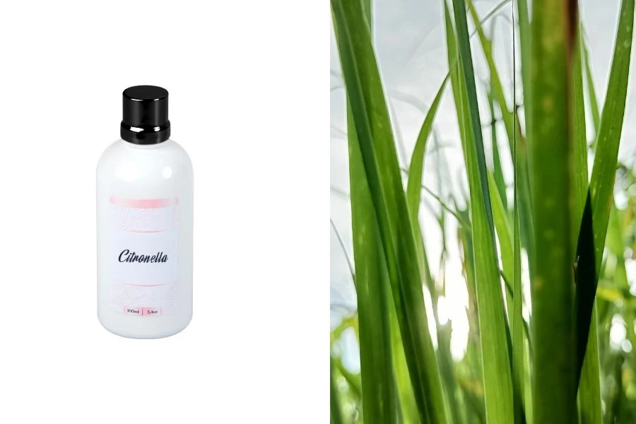 Citronella Fragrance Oil 100 ml