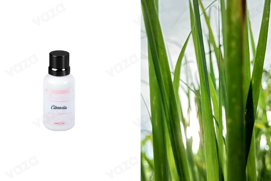 Citronella Αρωματικό έλαιο 30 ml-εικόνα_προϊοντική