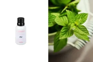 Mint αρωματικό έλαιο 30ml