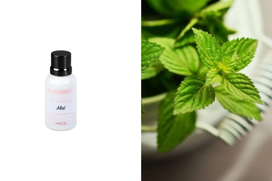 Mint αρωματικό έλαιο 30ml
