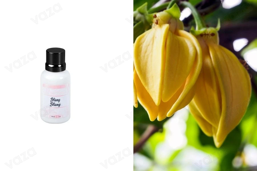 Ylang-ylang αρωματικό έλαιο 30ml Ylang-ylang αρωματικό έλαιο 30ml-εικόνα_προϊοντική