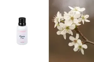 Blooming Pear αρωματικό έλαιο 30 ml