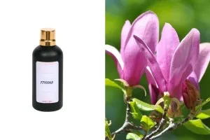 Αρωματικό έλαιο 100 ml 7710065-100