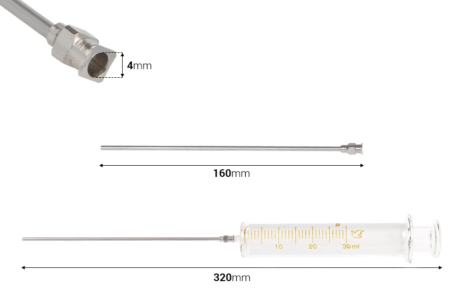 Siringa in vetro da 30 ml con ago in metallo Siringa in vetro da 30 ml con ago in metallo