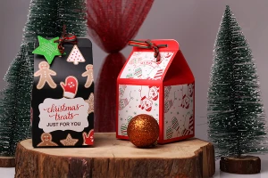 Χριστουγεννιάτικο χάρτινο κουτί δώρου 90x90x155 mm με κορδέλα και καρτελάκι  - 10 τμχ-εικόνα_σύνθεση