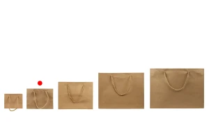 Papierbraune Geschenktüte mit gedrehter Kordel 200x60x150mm - 12 Stck-bildgruppe