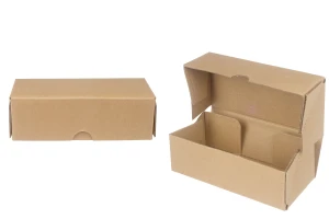 Χάρτινο κουτί συσκευασίας 170x80x55 mm 3-φυλλο με αυτόματη συναρμολόγηση - 10 τμχ-1