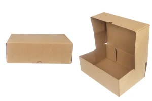 Χάρτινο κουτί συσκευασίας 300x200x100 mm 3-φυλλο με αυτόματη συναρμολόγηση - 10 τμχ-1