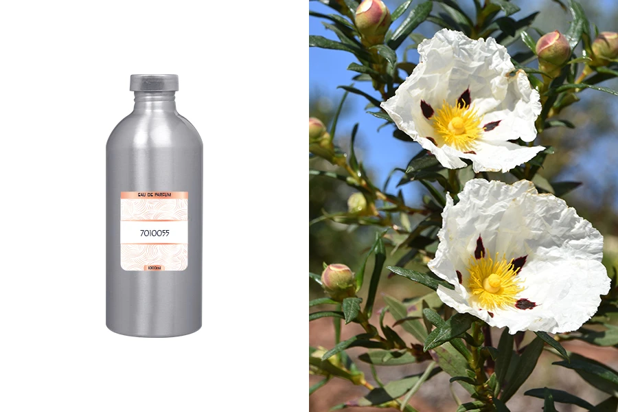 Ανδρικό άρωμα Eau de Parfum 7010055 (1000 ml)-εικόνα_προϊοντική