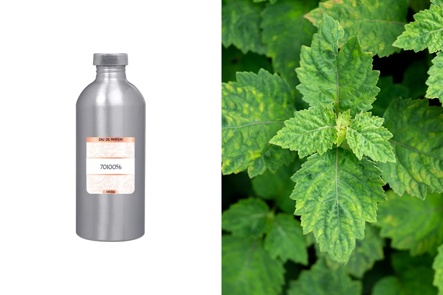 Ανδρικό άρωμα Eau de Parfum 7010056 (1000 ml)-εικόνα_προϊοντική