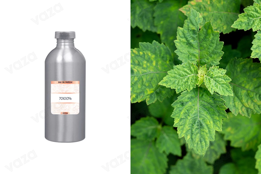 Ανδρικό άρωμα Eau de Parfum 7010056 (1000 ml)-εικόνα_προϊοντική