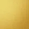 11087 (gold no flip) 