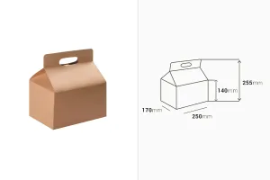 Kraft paper carrying case box with handle, cardboard bottom, in size 250x170x255 mm - 20 pcs-2