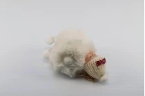 Porte-clé en peluche en forme de bébé Porte-clé en peluche en forme de bébé